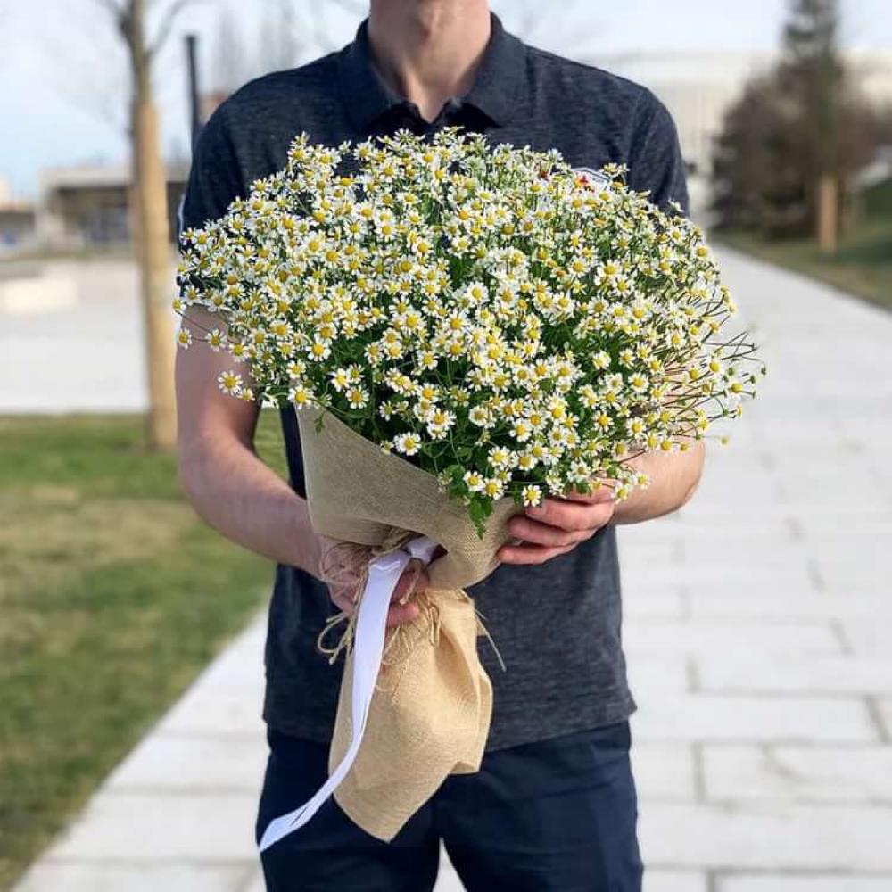 Букет Матрикария и Овёс